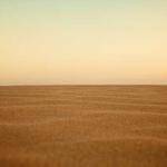 Maryse Runolfsson Profile Picture