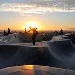 Priscilla Blanda Profile Picture