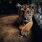 Lila Berge Profile Picture