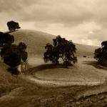 Brody Senger Profile Picture