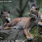 Reynold Satterfield Profile Picture