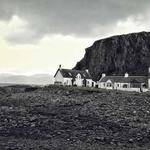 Tianna Dickinson Profile Picture