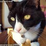 Patricia Schmitt Profile Picture