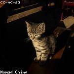 Alfonso Heidenreich Profile Picture