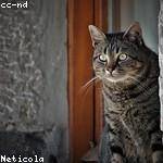 Hank Lemke Profile Picture