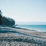 Isobel Goyette Profile Picture