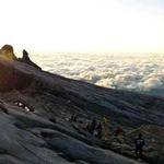 Jennings Walter Profile Picture