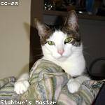 Lolita Robel Profile Picture