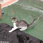 Thea Brekke Profile Picture