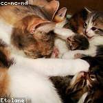 Myrtie Botsford Profile Picture