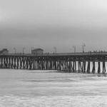 Elmore Marquardt Profile Picture