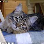 Floy Pfannerstill Profile Picture