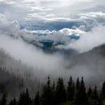 Odell Kunze Profile Picture