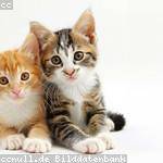 Lenore Runte Profile Picture