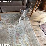 Stephania Hettinger Profile Picture