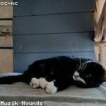 Madisyn Larkin Profile Picture