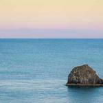 Alisa Hodkiewicz Profile Picture