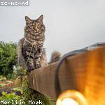 Lauren Pfannerstill Profile Picture