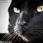 Rosalind Gerhold Profile Picture