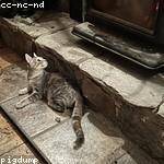 Kylie Schroeder Profile Picture