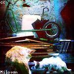 Dameon Reilly Profile Picture