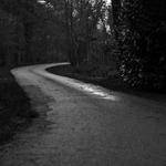 Caroline Price Profile Picture