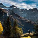 Haylee Schiller Profile Picture