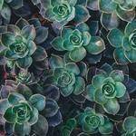 Marianne Gutkowski Profile Picture