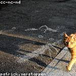 Alfonso Fritsch Profile Picture