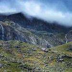 Karli Jacobs Profile Picture