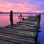 Owen Gerhold Profile Picture