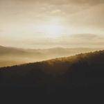 Lee Bruen Profile Picture