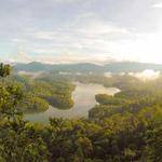 Alena Collier Profile Picture