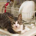 Adrienne Predovic Profile Picture