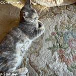 Monserrat Rodriguez Profile Picture