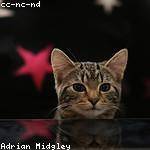 Presley Turcotte Profile Picture