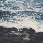 Fausto Hoppe Profile Picture