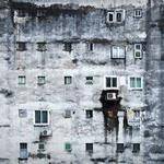 Adela DuBuque Profile Picture