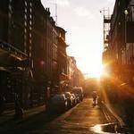 Caleb Brekke Profile Picture