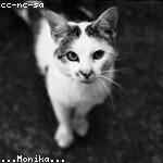 Jerel Towne Profile Picture