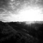 Israel Pfannerstill Profile Picture