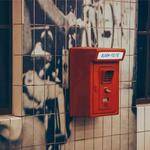 Hillary Feeney Profile Picture