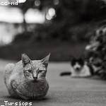 Melody Wuckert Profile Picture