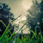 Annabelle Schimmel Profile Picture