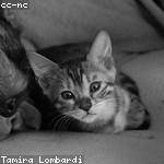 Matilde Jast Profile Picture