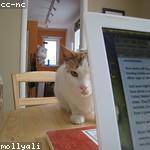 Roman Rau Profile Picture