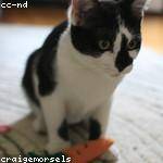 Kirstin Spencer Profile Picture