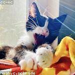 Alysha Rath Profile Picture