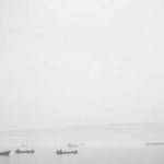 Sanford Swaniawski Profile Picture