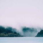 Joana Lockman Profile Picture